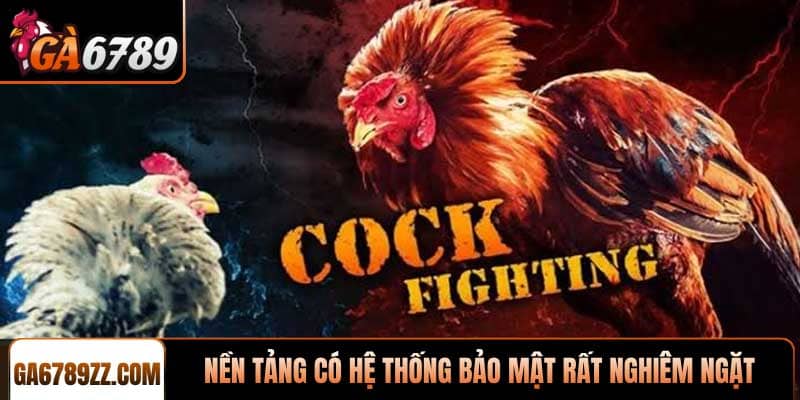 Nền tảng có hệ thống bảo mật rất nghiêm ngặt