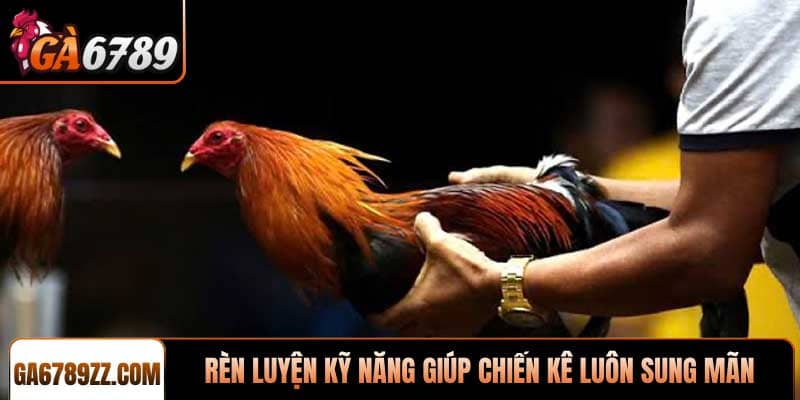 Rèn luyện kỹ năng giúp chiến kê luôn sung mãn